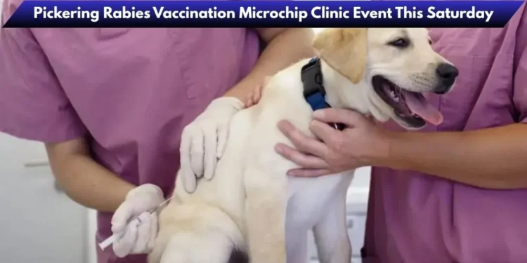 image 2026 04 15t223909.712