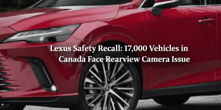 lexus recall rearview camera issue