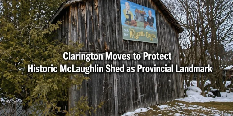 news style mclaughlin