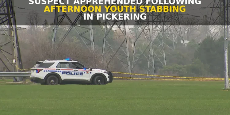 Suspect Apprehended Following Afternoon Youth Stabbing in Pickering pickering stabbing afternoon youth