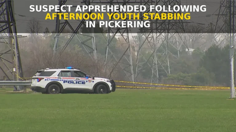pickering stabbing afternoon youth