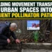 rewilding urban spaces
