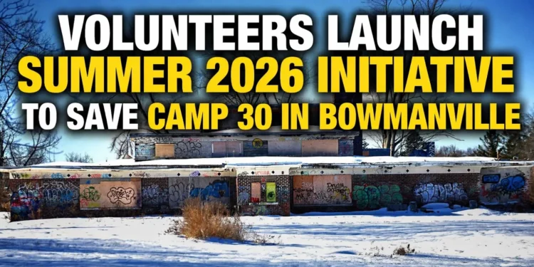 volunteers summer 2026