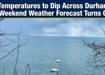 weather forecast a lakeshore scene converted