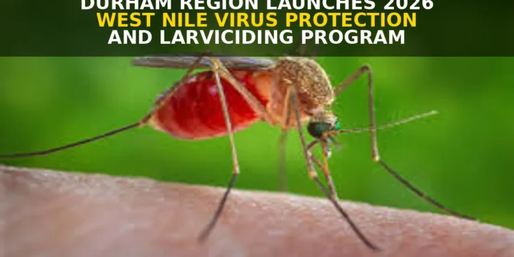 Durham Region Launches 2026 West Nile Virus Protection and Larviciding Program west nile virus protection