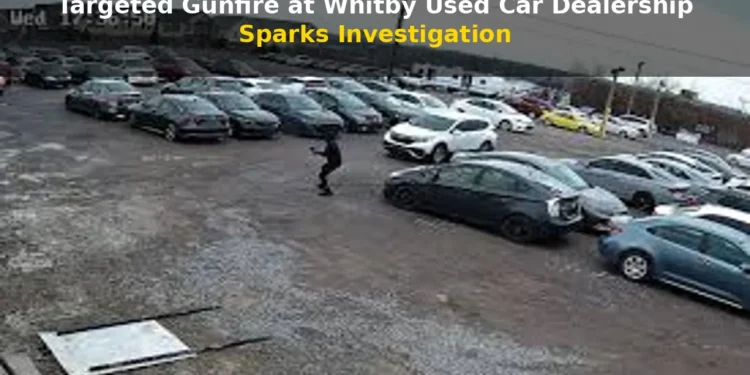 whitby gunfire targeted