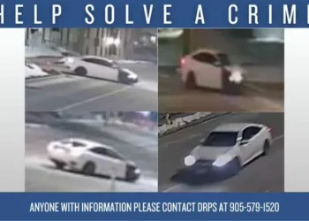 solve crime
