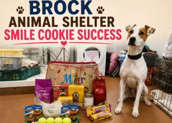 brock animal shelter smile cookie success