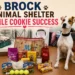 brock animal shelter smile cookie success
