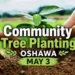 community tree planting oshawa may 3