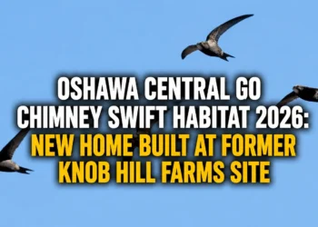 knob hill farms site