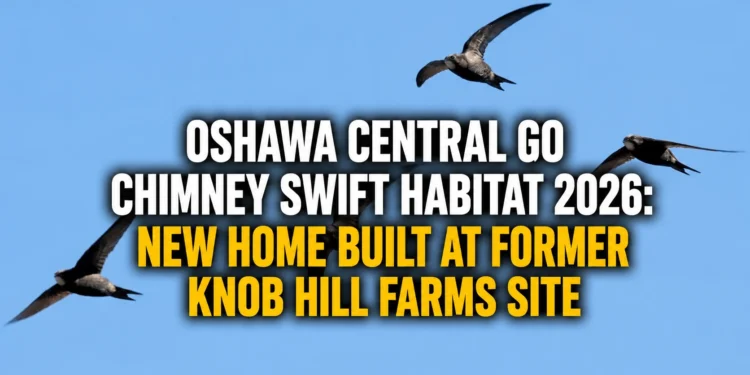Oshawa Central GO Chimney Swift Habitat 2026: New Home Built at Former Knob Hill Farms Site knob hill farms site