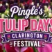 pingle’s tulip days clarington festival