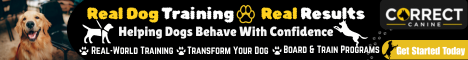 real dog training. real results. (5)