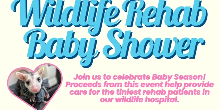 soper creek wildlife rescue baby shower