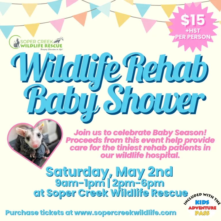 soper creek wildlife rescue baby shower