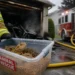 animal rescue