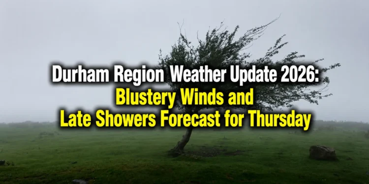 blustery winds