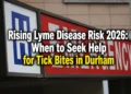 lyme tick diseace