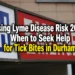 lyme tick diseace