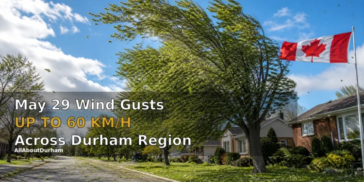 May 29 Wind Gusts Up to 60 km/h Hit Durham Region May 29 Wind Gusts Up to 60 km/h Across Durham Region