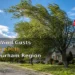 May 29 Wind Gusts Up to 60 km/h Across Durham Region