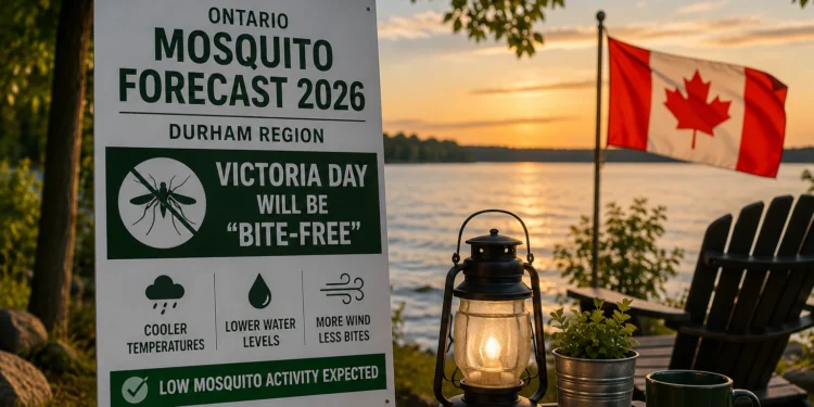 mosquito forecast