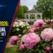 Oshawa Peony Festival 2026: Award-winning landmark horticultural celebration marks its 22nd year at botanical gardens peony