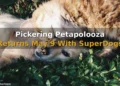 Pickering Petapolooza Returns May 9 With SuperDogs and DockDogs