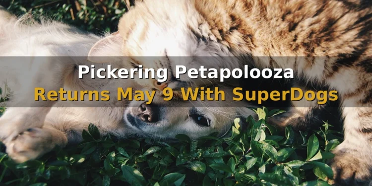 Pickering Petapolooza Returns May 9 With SuperDogs and DockDogs