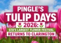 pingles tulip days