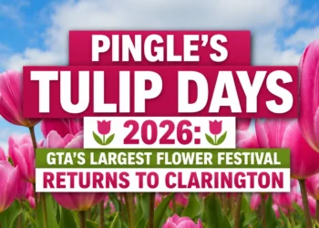 Pingle’s Tulip Days 2026: GTA’s Largest Flower Festival Returns to Clarington pingles tulip days