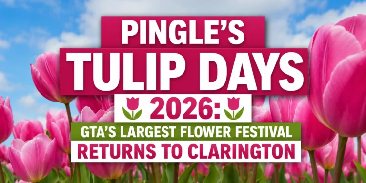 pingles tulip days