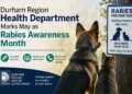 rabies awareness