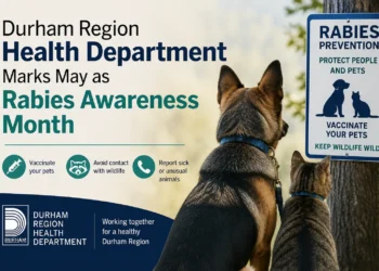 rabies awareness