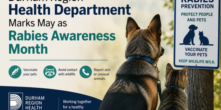 rabies awareness