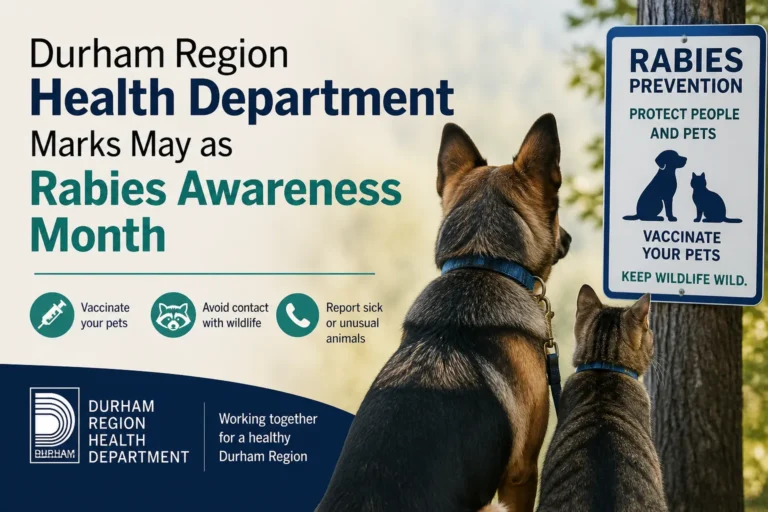 rabies awareness