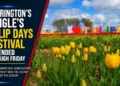 Clarington's Pingle's Tulip Days Festival Extended Through Friday tulip days