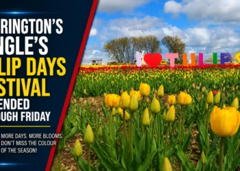 Clarington's Pingle's Tulip Days Festival Extended Through Friday tulip days