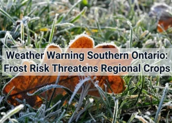 weather warning southern
