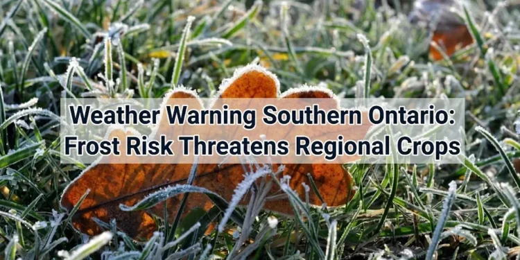 weather warning southern