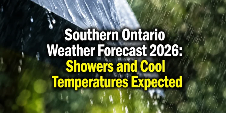 weather forecast