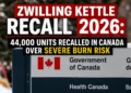 zwilling kettle