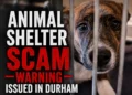animal shelter scam warning issued in durham