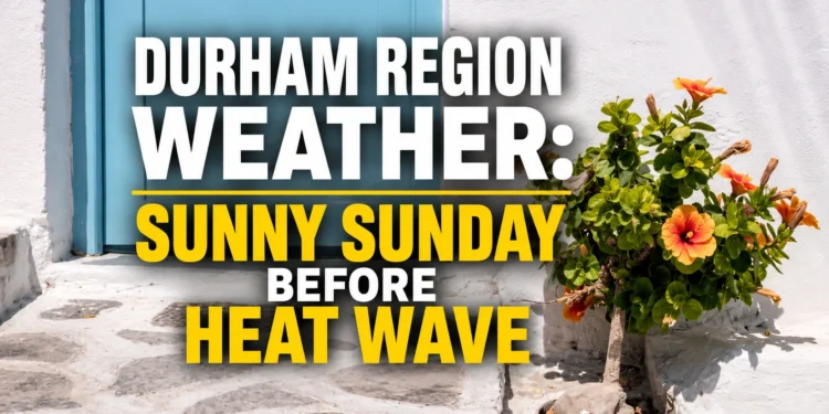 durham region weather sunny sunday before heat wave