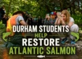 Durham Students Help Restore Atlantic Salmon to Lake Ontario durham students help restore atlantic salmon