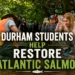 durham students help restore atlantic salmon