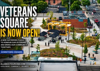 featured im vets sq
