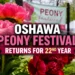 oshawa peony festival returns for 22nd year