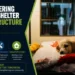 animal shelter